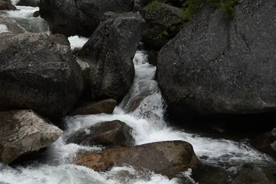 DSC_4696 (Large).JPG